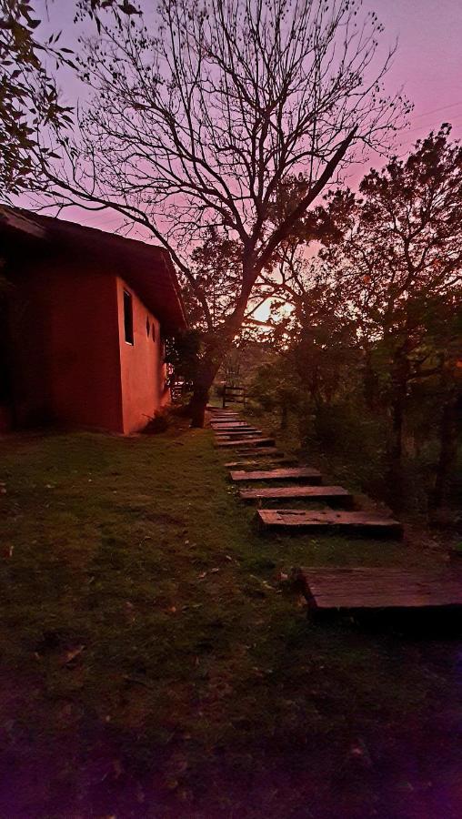 Sítio Belucci Pinhalzinho (Amparo) Exterior foto